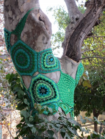 Knittiti in Palermo, BA
